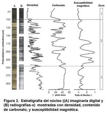 Figura 3. Estratigrafía del núcleo ((A) imaginaría digital y (B) radiografías-x) mostradas con densidad, contenido de carbonato, y susceptibilidad magnética.