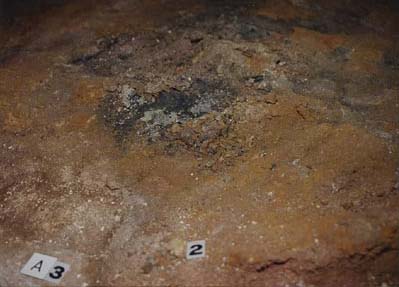 Figure 1. Debris from the termination ritual on top of the Motmot marker.