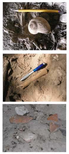 Plate 9. Archaeological Materials in Santa Rosa cave. Plate 9. Archaeological Materials in Santa Rosa cave.
