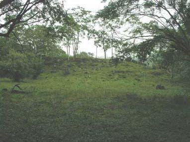 Plate 14. Redención del Campesino Group C Mound. Plate 14. Redención del Campesino Group C Mound.