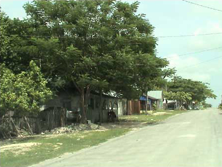 Figure 2. Street scene, Calle Puc Te, Zoh Laguna, Campeche.