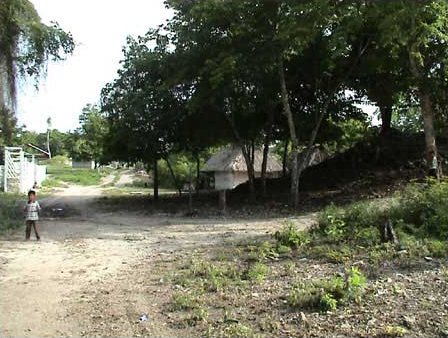 Figure 7. Street scene, ejido Flores Mag&oacute;n, Campeche. Note the precolumbian ruins (mound at far right).