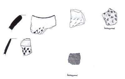 Figure 14. Puyado type pottery, Michis Group.