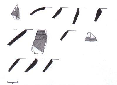 Figure 15. Unslipped Black Group pottery.