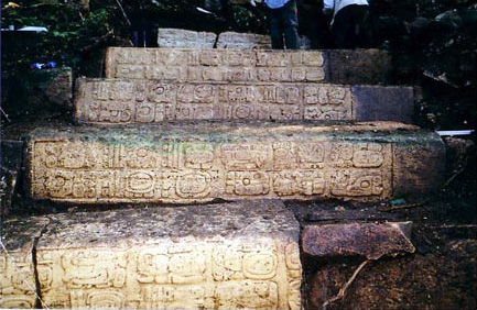 Photo 6. Central Stairway. Step 6 (bottom), 5, 4, 3, 2. Step 1 not excavated yet.