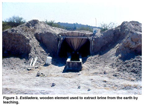 Figure 3. Estiladera, wooden element used to extract brine from the earth by leaching. Figure 3. Estiladera, wooden element used to extract brine from the earth by leaching.