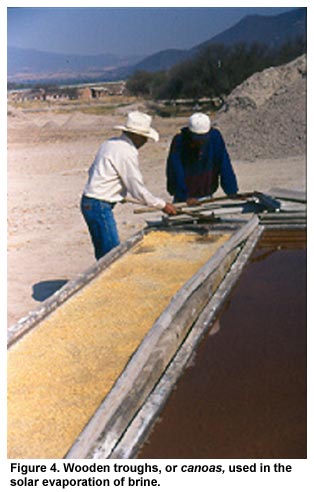 Figure 4. Wooden troughs, or canoas, used in the solar evaporation of brine. Figure 4. Wooden troughs, or canoas, used in the solar evaporation of brine.