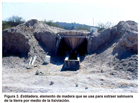 Figura 3. Estiladera, elemento de madera que se usa para extraer salmuera de la tierra por medio de la lixiviación.