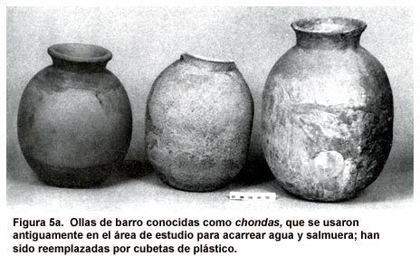 Figura 5a. Ollas de barro conocidas como chondas, que se usaron antiguamente en el área de estudio para acarrear agua y salmuera; han sido reemplazadas por cubetas de plástico.