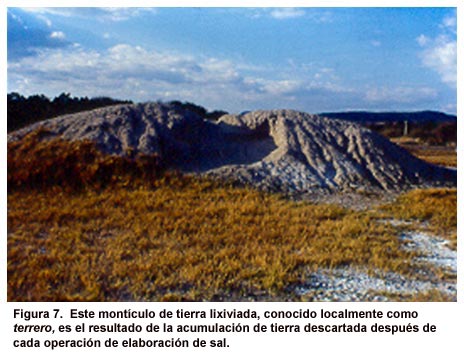 Figura 7. Este montículo de tierra lixiviada, conocido localmente como terrero, es el resultado de la acumulación de tierra descartada después de cada operación de elaboración de sal.