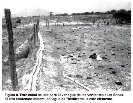 Figura 8. Este canal se usa para llevar agua de las vertientes a las fincas. El alto contenido mineral del agua ha "fosilizado" a este elemento.
