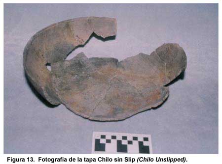 Figura 13. Fotografía de la tapa Chilo sin Slip (Chilo Unslipped). Figura 13. Fotografía de la tapa Chilo sin Slip (Chilo Unslipped).
