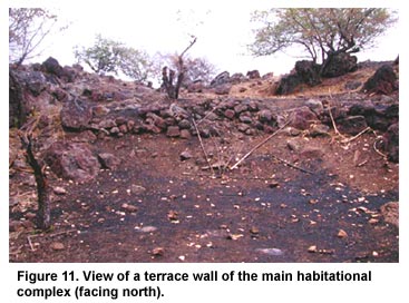 Figure 11. View of a terrace wall of the main habitational complex (facing north).