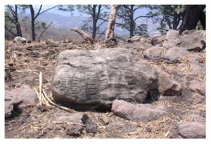 Figure 13. Petroglyph with maquette motives (observe the stairways). Click to enlarge.