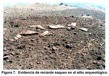 Figura 7. Evidencia de reciente saqueo en el sitio arqueológico.