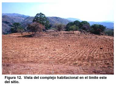 Figura 12. Vista del complejo habitacional en el límite este del sitio.