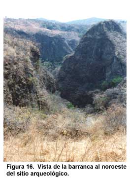 Figura 16. Vista de la barranca al noroeste del sitio arqueológico.