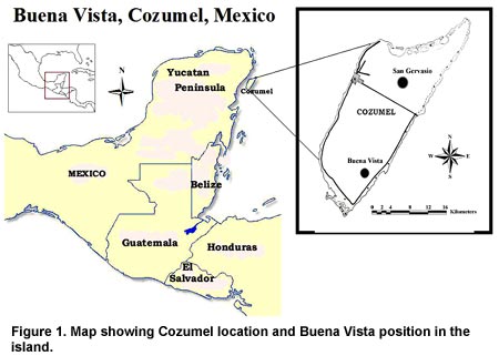 Figure 1. Map showing Cozumel location and Buena Vista position in the island. Click on image to enlarge. Figure 1. Map showing Cozumel location and Buena Vista position in the island. Click on image to enlarge.
