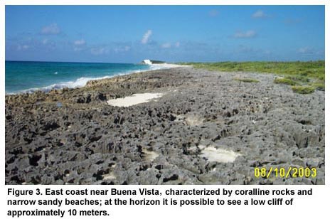 Figure 3. East coast near Buena Vista, characterized by coralline rocks and narrow sandy beaches; at the horizon it is possible to see a low cliff of approximately 10 meters. Figure 3. East coast near Buena Vista, characterized by coralline rocks and narrow sandy beaches; at the horizon it is possible to see a low cliff of approximately 10 meters.