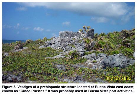 Figure 5. Vestiges of a prehispanic structure located at Buena Vista east coast, known as "Cinco Puertas." It was probably used in Buena Vista port activities. Figure 5. Vestiges of a prehispanic structure located at Buena Vista east coast, known as "Cinco Puertas." It was probably used in Buena Vista port activities.