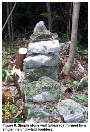 Figure 8. Simple stone wall (albarrada) formed by a single line of dry-laid boulders. Figure 8. Simple stone wall (albarrada) formed by a single line of dry-laid boulders.