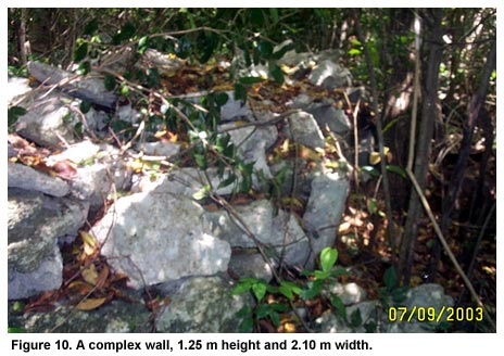 Figure 10. A complex wall, 1.25 m height and 2.10 m width. Figure 10. A complex wall, 1.25 m height and 2.10 m width.