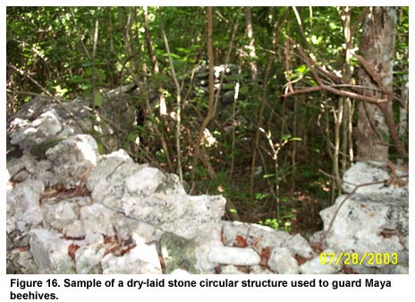 Figure 16. Sample of a dry-laid stone circular structure used to guard Maya beehives. Figure 16. Sample of a dry-laid stone circular structure used to guard Maya beehives.