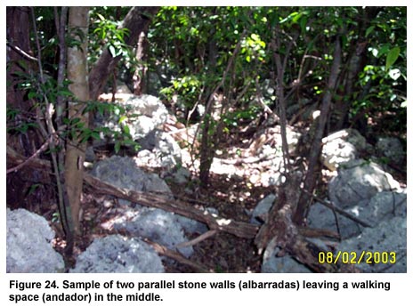 Figure 24. Sample of two parallel stone walls (albarradas) leaving a walking space (andador) in the middle. Figure 24. Sample of two parallel stone walls (albarradas) leaving a walking space (andador) in the middle.