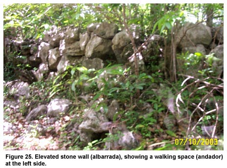 Figure 25. Elevated stone wall (albarrada), showing a walking space (andador) at the left side. Figure 25. Elevated stone wall (albarrada), showing a walking space (andador) at the left side.