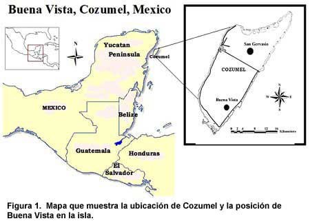 Figura 1. Mapa que muestra la ubicación de Cozumel y la posición de Buena Vista en la isla. Haga clic sobre la imagen para agrandar.