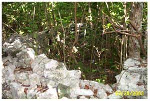 Figura 16. Muestra de una estructura circular de piedra puesta sin mortero, usada para proteger las colmenas mayas.