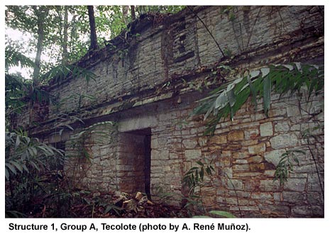 Structure 1, Group A, Tecolote (photo by A. René Muñoz)