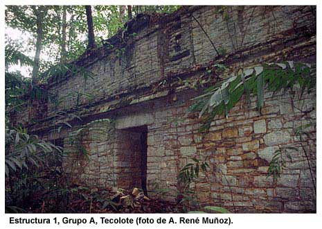 Estructura 1, Grupo A, Tecolote (foto de A. René Muñoz)
