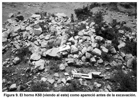 Figura 9. El horno K50 (viendo al este) como apareció antes de la excavación. Figura 9. El horno K50 (viendo al este) como apareció antes de la excavación.