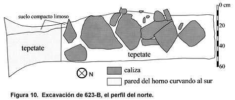 Figura 10. Excavación de 623-B, el perfil del norte. Figura 10. Excavación de 623-B, el perfil del norte.