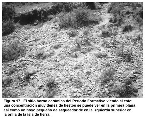 Figura 17. El sitio horno cerámico del Período Formativo viendo al este; una concentración muy densa de tiestos se puede ver en la primera plana así como un hoyo pequeño de saqueador de en la izquierda superior en la orilla de la isla de tierra. Figura 17. El sitio horno cerámico del Período Formativo viendo al este; una concentración muy densa de tiestos se puede ver en la primera plana así como un hoyo pequeño de saqueador de en la izquierda superior en la orilla de la isla de tierra.