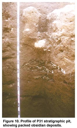 Figure 10. Profile of P31 stratigraphic pit, showing packed obsidian deposits.