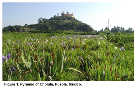 Figure 1. Pyramid of Cholula, Puebla, México. Click to enlarge.