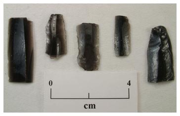 Figura 2. Obsidiana de diferentes fuentes hallada en EA-2, en Etlatongo. Haga clic para agrandar.