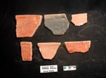 Anaite Red: Pachyra Variety, Yaxche. Click to enlarge.