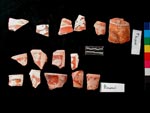 Porvenir and Playona Polychrome. Click to enlarge.