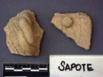 Sapote. Abal Ceramic Phase. Click to enlarge.