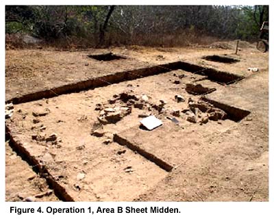 Figure 4. Operation 1, Area B Sheet Midden.