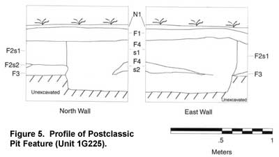 Figure 5. Profile of Postclassic Pit Feature (Unit 1G225). Click on image to enlarge. Figure 5. Profile of Postclassic Pit Feature (Unit 1G225). Click on image to enlarge.