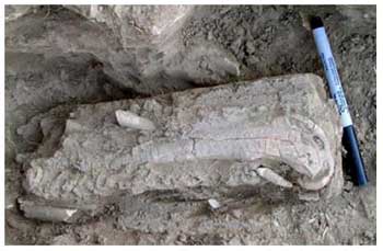 Figure 15. Flute in block of earth. Photo of the removal of the flute. Click to enlarge.