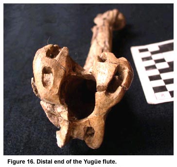 Figure 16. Distal end of the Yugüe flute.