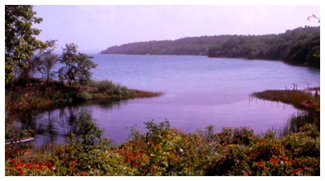 Figure 3. Photograph of Harbor at Trinidad de Nosotros.