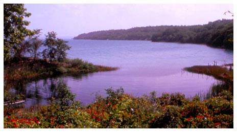 Figure 3. Photograph of Harbor at Trinidad de Nosotros.