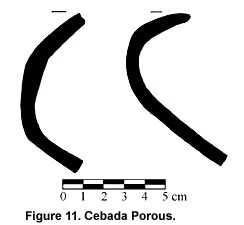 Figure 11. Cebada Porous.