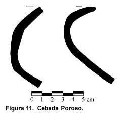 Figure 11. Cebada Poroso.